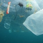 Plastic in the ocean: The facts, effects and new EU rules
