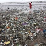 Plastic pollution: take-out food is littering the oceans